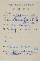 圓葉陵齒蕨藏品圖，第2張