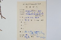 細葉碎米蕨藏品圖，第2張