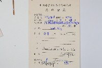 大葉骨碎補藏品圖，第2張