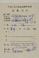 隱囊蕨藏品圖，第2張