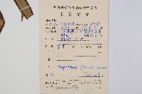 福建蓮座蕨藏品圖，第2張