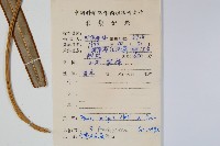 全緣鳳尾蕨藏品圖，第2張