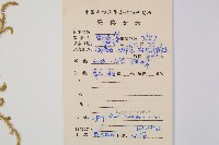 過山龍藏品圖，第2張