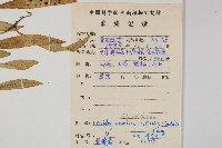 骨牌蕨藏品圖，第2張