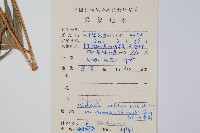 登錄號:P009058藏品圖，第2張