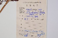 烏蕨藏品圖，第2張