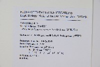 翅軸假金星蕨、短柄卵果蕨藏品圖，第2張