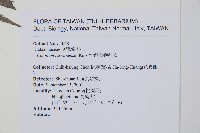 臺灣金狗毛蕨藏品圖，第2張