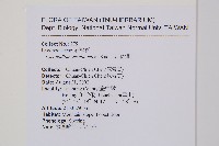 玉山地刷藏品圖，第2張