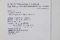 逆葉蹄蓋蕨、逆羽蹄蓋蕨藏品圖，第5張