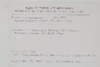 扇蕨藏品圖，第2張