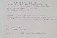 地刷子藏品圖，第2張