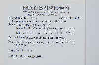 地刷子藏品圖，第2張