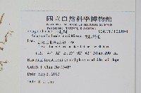 生根卷柏藏品圖，第2張