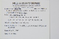 海島陵齒蕨藏品圖，第2張