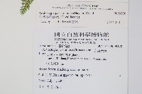 台灣小膜蓋蕨藏品圖，第2張