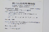 生根卷柏藏品圖，第2張