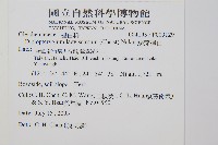 鱗芽裡白藏品圖，第2張