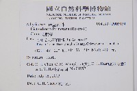 假腸蕨藏品圖，第2張