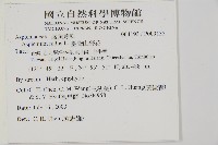 臺灣山蘇花藏品圖，第2張