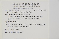 剪葉鐵角蕨藏品圖，第2張