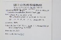 瓶蕨藏品圖，第2張