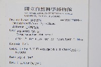 瓦氏鱗毛蕨藏品圖，第2張