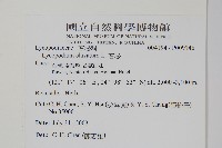 石松藏品圖，第2張