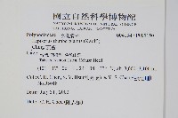 瓦葦藏品圖，第2張