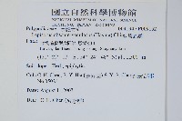 粵瓦葦藏品圖，第2張