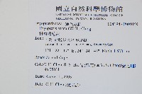 桫欏鱗毛蕨藏品圖，第2張