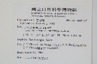 石松藏品圖，第2張