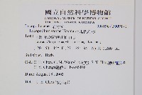 相馬氏石松藏品圖，第2張