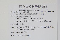 瓦葦藏品圖，第2張