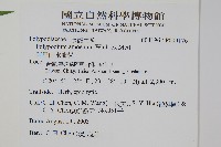 阿里山水龍骨藏品圖，第2張