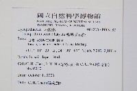 相馬氏石松藏品圖，第2張