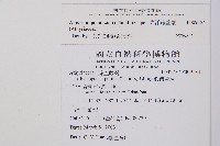 東洋蹄蓋蕨藏品圖，第2張