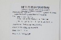 瓦葦藏品圖，第2張