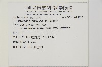 生芽鐵角蕨藏品圖，第2張