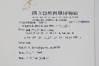 生根卷柏藏品圖，第2張