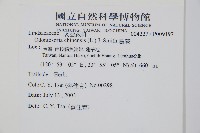 烏蕨藏品圖，第2張