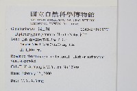 裡白藏品圖，第2張