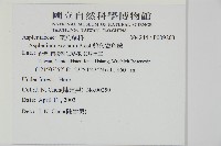 剪葉鐵角蕨藏品圖，第2張