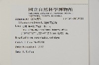 鞭葉鐵線蕨藏品圖，第2張