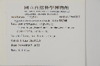 腫足蕨藏品圖，第2張