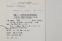 陰地三叉蕨藏品圖，第2張