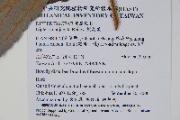 雙扇蕨藏品圖，第2張