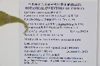 細齒貫眾蕨藏品圖，第2張