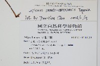 擬烏蘇里瓦葦藏品圖，第2張