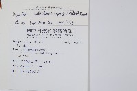 瓦氏鱗毛蕨藏品圖，第2張